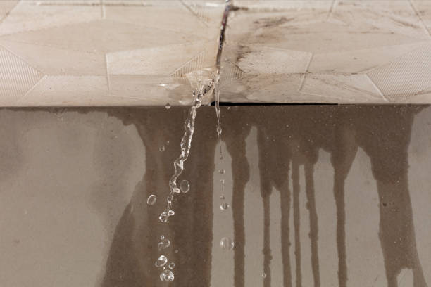 Professional Water Damage Repair technician working in North Fairfield, OH